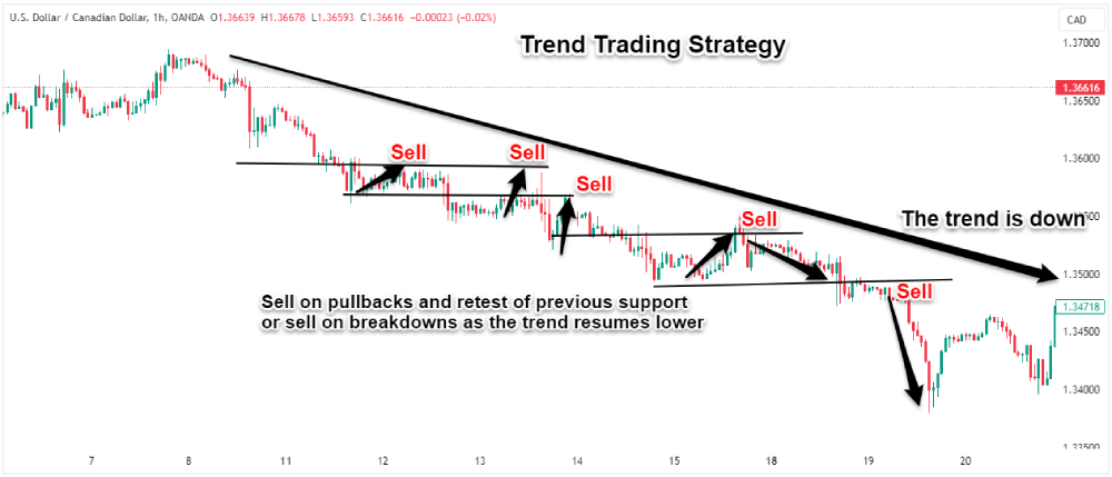 day trading vs forex